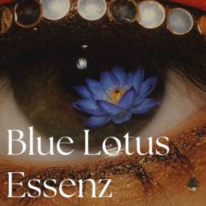 Blue Lotus Essenz - Gold